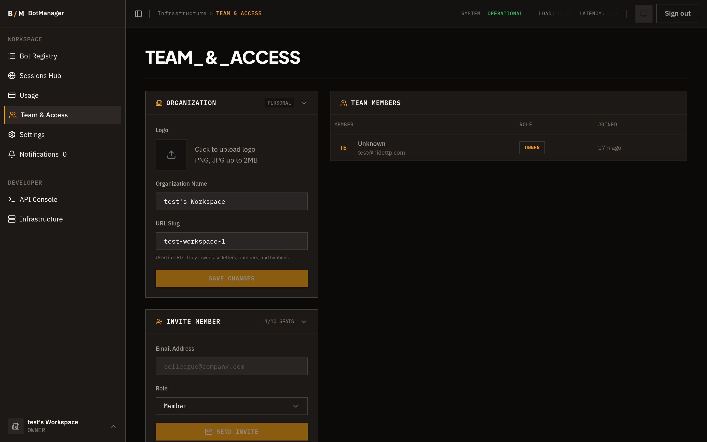 Team & Access page with organization settings and member management